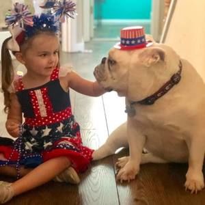 Meet your Posher, Harry